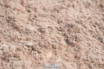 250511-093402-12957