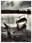 Tides_End