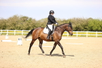 SBM_007915