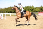 SBM_002160