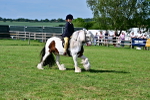 SBM_09413
