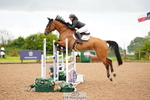 Cls 29 Foxhunter portfolio