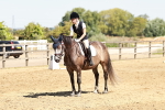 SBM_001441