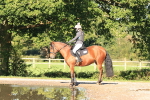 SBM_15640