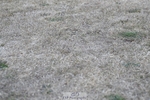 250823A-181419-34066