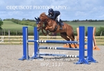 BPP_1137