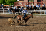 _DSC0582