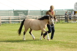 SBM_00551