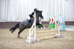 SBM_001790