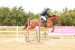 SBM_004654