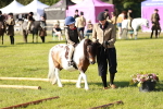SBM_11182