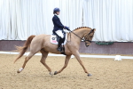 SBM_001666