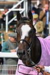 150526-Race 5-Rahiebb-8286