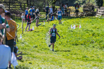 The Finish-1141