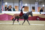 SBM_10264