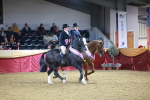 SBM_15205