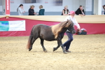 SBM_17499