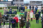 240126-Race 5-Spillanes Tower-7297