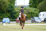 _DSC0781
