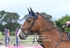 BPP_0582