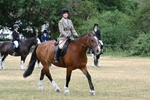 WJ7_1278