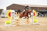 SBM_008944