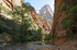 Virgin River Narrows