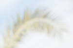 theme 1 week 4: NOTHING IN FOCUS