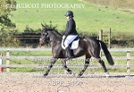 BPP_9464