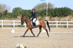 SBM_013043