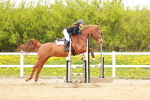 SBM_005388