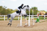 SBM_001685