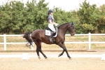 SBM_007166