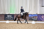 SBM_014181