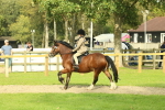 SBM_69056