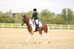 SBM_007329