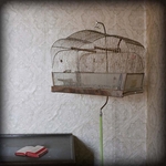 Bird Cage with Little Red Book