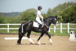 SBM_007996
