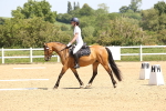 SBM_008529