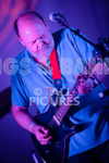 Gig for Colin-10