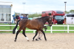 SBM_05747