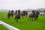 Race 2 2.15pm Fine Details Vehicle Valeting Handicap portfolio