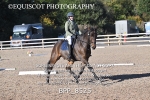 BPP_8525