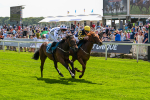 130625-Race 2-Carnation Queen-8649