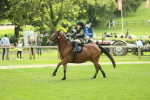 SBM_44611