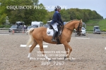 BPP_7267