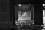 Under the Pier 1