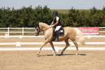 SBM_005042
