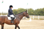 SBM_001409