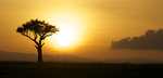 African Sunset